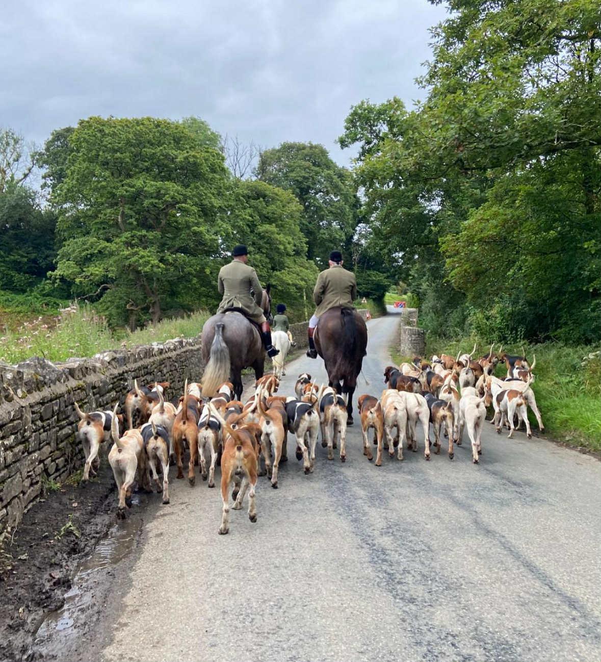 Hound Exercise photo