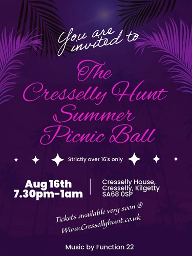 Summer Ball Poster
